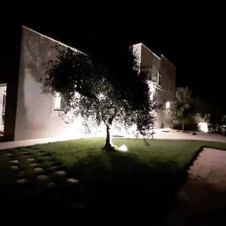 Vita فيلة بولينيانو آ ماري